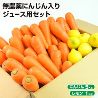 【クール便】 訳あり 無農薬にんじん 入り にんじんレモン ジュース用 野菜セット ( にんじん 5kg ＋ レ…