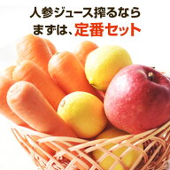 【クール便】訳あり 無農薬にんじん 入り 人参ジュース 定番セット (にんじん 5kg りんご 5個 レモン 5個…