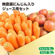 【クール便】 訳あり 無農薬にんじん 入り にんじんりんご ジュース用 野菜セット ( にんじん 5kg ＋ り…