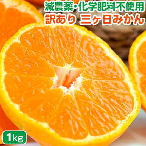 󂠂 O݂ ݂ 1kg O~J ɂ  ݂ ~J ʍ͔| _ É É ÉY O O l B  -NvgLT` GABA r^~