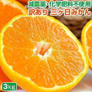 󂠂 O݂ ݂ 3kg  O~J ɂ  ݂ ~J ʍ͔| _ É É ÉY O O l B  -NvgLT` GABA