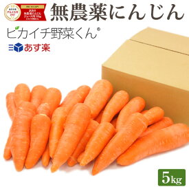 【あす楽】 訳あり 無農薬にんじん 5kg 常温便 送料無料 国産 有機JAS認証 ゲルソン療法 無農薬人参 にんじん 人参 人参ジュース にんじんジュース ニンジンジュース 野菜ジュース ジュース用 無添加 野菜 スロージューサー ストレートジュース ファスティング 国内産