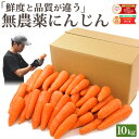 雑誌で紹介！【クール便価格】 訳あり 無農薬 人参 10kg 送料無料 にんじん ニンジン 無農薬にんじん 無農薬人参 有機人参 有機 有機JAS認証 国産 規格外 ジュース用 野菜 人参ジュース にんじんジュース ニンジンジュース ゲルソン療法 ジュース用 無添加 スロージューサー
