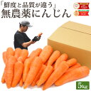 雑誌で紹介！【クール便価格】 訳あり 無農薬 人参 5kg 送料無料 にんじん ニンジン 無農薬にんじん 無農薬人参 有機人参 有機 有機JAS認証 国産 規格外 ジュース用 野菜 人参ジュース にんじんジュース ニンジンジュース ゲルソン療法 野菜ジュース 無添加 スロージューサー