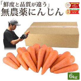 【常温便】雑誌で紹介！ 訳あり 無農薬 人参 にんじん 6kg 6キロ 送料無料 無農薬人参 無農薬にんじん 無化学肥料栽培 洗い ニンジン 有機人参 有機 有機JAS認証 国産 規格外品 B品 ジュース用 不揃い 人参ジュース にんじんジュース 野菜 生鮮食品 糖度測定 鮮度保持袋