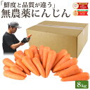 雑誌で紹介！【クール便価格】 訳あり 無農薬 人参 8kg 送料無料 にんじん ニンジン 無農薬にんじん 無農薬人参 有機人参 有機 有機JAS認証 国産 規格外 B品 ジュース用 人参ジュース にんじんジュース ニンジンジュース ゲルソン療法 無添加 スロージューサー 鮮度保持袋