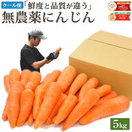 クール便 無農薬 人参 にんじん 5kg 5キロ 送料無料 訳あり あすらく 無農薬人参 無農薬にんじん 無化学…