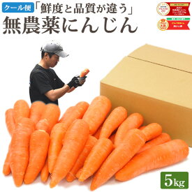 クール便 無農薬 人参 にんじん 5kg 5キロ 送料無料 訳あり あすらく 無農薬人参 無農薬にんじん 無化学肥料栽培 洗い ニンジン 有機人参 有機 国産 規格外品 B品 ジュース用 不揃い 人参ジュース にんじんジュース 野菜 生鮮食品 糖度測定