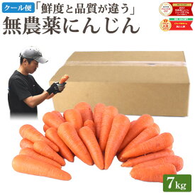 【クール便】 雑誌で紹介！ 訳あり 無農薬 人参 にんじん 7kg 7キロ 送料無料 無農薬人参 無農薬にんじん 無化学肥料栽培 洗い ニンジン 有機人参 有機 有機JAS認証 国産 規格外品 B品 ジュース用 不揃い 人参ジュース にんじんジュース 野菜 生鮮食品 糖度測定 鮮度保持袋