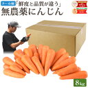 【クール便】 雑誌で紹介！ 訳あり 無農薬 人参 にんじん 8kg 8キロ 送料無料 無農薬人参 無農薬にんじん 無化学肥料…