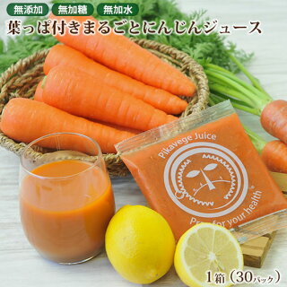 冷凍ピカベジジュース葉っぱ付きまるごとにんじんジュース1箱