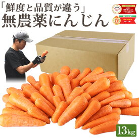 【スーパーセール限定100円OFF】雑誌で紹介 訳あり 無農薬 人参 にんじん 13kg 13キロ 送料無料 常温便 無農薬人参 無農薬にんじん 無化学肥料栽培 洗い ニンジン 有機人参 有機 国産 規格外品 B品 ジュース用 不揃い 人参ジュース にんじんジュース ニンジンジュース 野菜