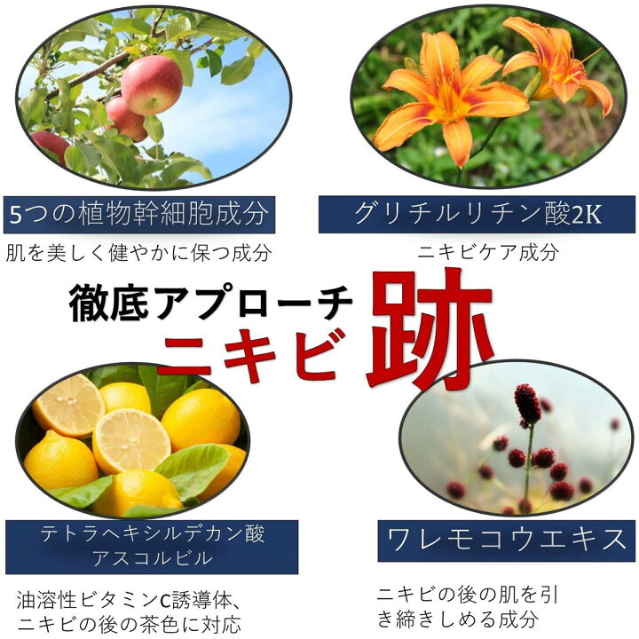 楽天市場 植物幹細胞エキス配合ニキビ跡 ニキビ クリーム マスク 対策 肌荒れリプロスキン ジェルクリーム 50g メンズ レディース 大人 ニキビ 跡 クレーター 色素沈着 消し 凸凹脂性肌 敏感肌 乾燥肌 毛穴 用 あご おでこ 鼻 美と健康 スキンケア専門 ピカイチ