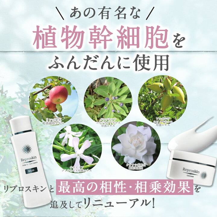 楽天市場 スーパーdeal 最大ポイント15倍ポイントバック植物幹細胞エキス配合ニキビ跡 ニキビ クリーム マスク 対策 肌荒れリプロスキン ジェルクリーム 50gメンズ レディース 大人 色素沈着 消し 凸凹脂性肌 敏感肌 乾燥肌 毛穴 用 あご おでこ 鼻 美と健康