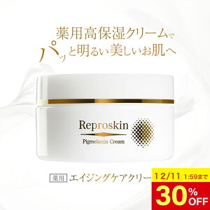 y30OFF 111:59܂Łzyz glLT_ z  ێ 򕔊Oi p vXL CX`[ N[ 50g Y fB[X XLPA o V~   V 