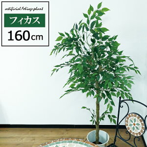 lHϗtA 160cm tBJX ^ tFCNc[ tFCNO[ ϗtA  CeA A     ^ j 160cm V