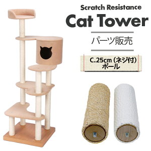 Lbg^[ pp[c C 25cm|[ lWt gk-105pp[c FzAfqh  [v rj ܂Ƃ Lp ˂^[ L^[  킢