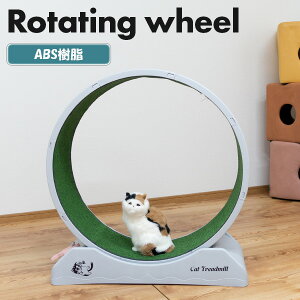 ybg ]zC[ LbgzC[ L]zC[ Lbg  ^ ^s XgX  xAO bNu  L  ybgpi L^sObY 얞 