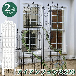 yN[|zzz y2gzACAtFX220 nC^Cv tFX ACA K[ftFX K[fjO g  d؂ ډB  NVJ AeB[N gX x_ 