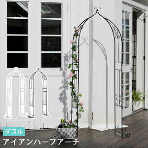 ACAn[tA[` _u ACAA[`  S n[g  tFX K[fA[`  ^ k K[fjO O Ƌ c^  GgX GNXeA }`bN n