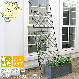 アイアン製グリーンカーテン アーガイルフェンス アイアン グリーンフェンス ゴーヤ 薔薇 バラ 朝顔 庭 ベランダ ガーデニング 枠 柵 仕切り 目隠し 境目 アンティーク トレリス 園芸 ラ