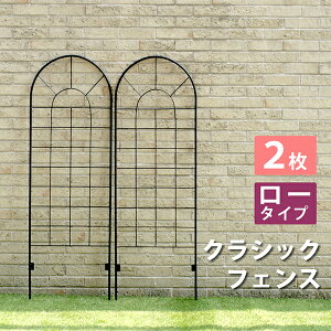 y2gz NVbNtFX [^CvtFX Q[g  ACA K[ftFX K[fjO g  d؂ ډB  NVJ AeB[N gX x_  KN o