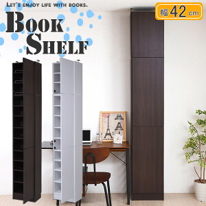 y|Cg2{Izy42cm×s30cm+uz{I I t[ R~bN[ ɖ{bN DVDbN CDbN t[bN I ǖʎ[ ǖʖ{I 1cmsb` {[ rO[ ֎