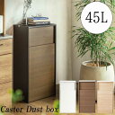 ゴミ箱 45L ごみ箱 おしゃれ リビング キッチン キャスター付きゴミ箱 45Lゴミ箱 蓋付きゴミ箱リビング キャスター付き ゴミ箱おしゃれリビング プッシュオープン 蓋付きゴミ箱 45リットル ふたつきゴミ箱 中身が見えない ごみ処理