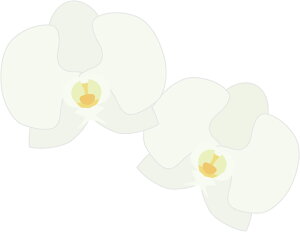 y@llpz~fBӒ3{  |   蕨 Mtg j p  LO JXj zj zj ] bNX FB  i y y Ƒ oX  } 