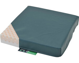 }CNbV / CK-398 | P[v