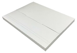 [֐pP[X A4TCY 500 | EMS-BOX-A4 rWlX d X Xp zB 莆  ^[P[X z zB pbN TCY pTCY