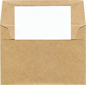 [֐pP[X A4TCY 100 | EMS-BOX-A4 rWlX d X Xp zB 莆  ^[P[X z zB pbN TCY pTCY