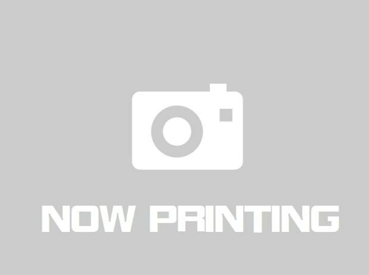 楽天市場】リコー (RICOH) Pro スポットトナー 純正トナー C5200 4色 