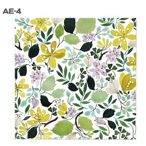 _1000~ۂ^ Annna Emilia AiG~A Kl@ IV ԕ  {^jJ ߂ː@ NX 킢 N[jONX ߂˂ӂ KlNX ዾ@ v[g 