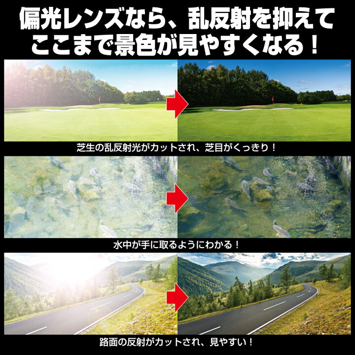 楽天市場】Kodak LENS × SAMURAI SHO 哀川翔 サングラス 翔サングラス  