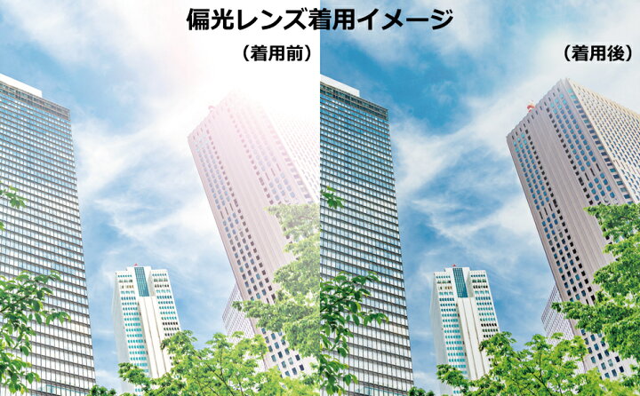 楽天市場】Kodak LENS × SAMURAI SHO 哀川翔 サングラス 翔サングラス  