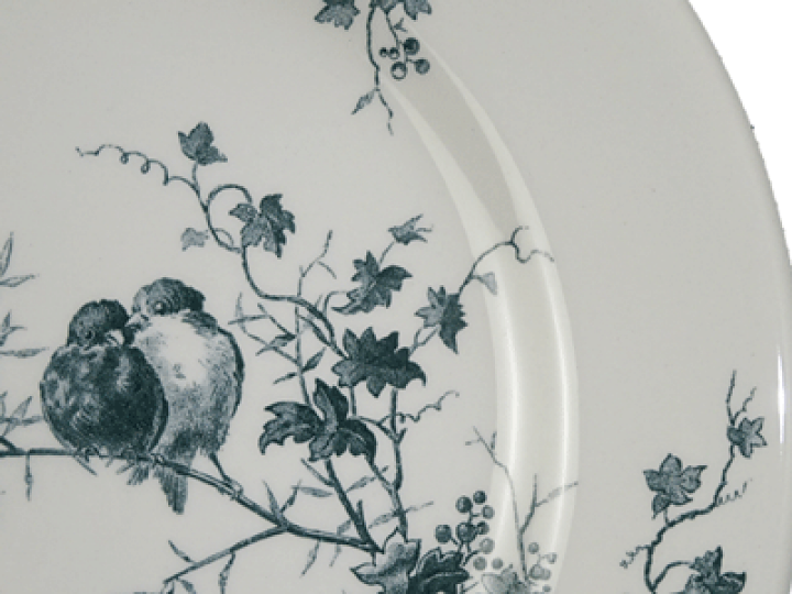 楽天市場】ジアン レ・オワゾ デザートプレート22cm(グリーン) : 輸入