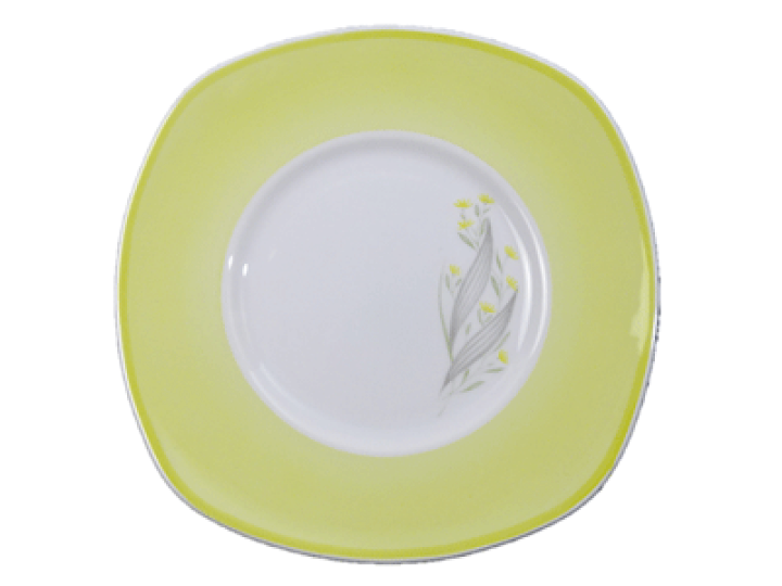 スージークーパーパトリシアローズグリーン2枚ピンクライン プレート 皿