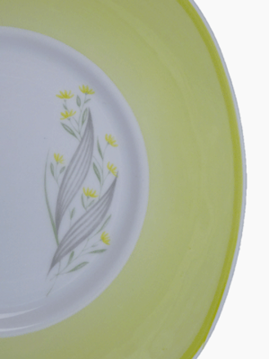 スージークーパーパトリシアローズグリーン2枚ピンクライン プレート 皿