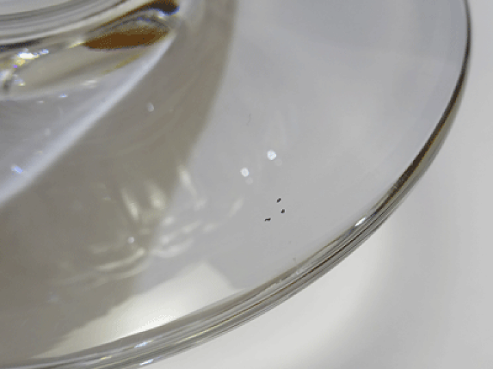 バカラ プリマベーラ 花瓶　フラワーベース 楽天市場】バカラ フラワーベース 花瓶 プリマベーラ 送料込み