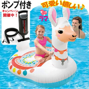 INTEX qlp}t[g y|vtz  rbOTCY  r[` v[ 킢 q  l v[t[g {[g  GA[}bg EWt[g 傫 C 
