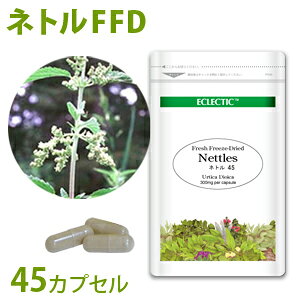 lg CNT FFD 45JvZEGRpbN I[KjbNn[uTvg@ECLECTIC GNNeBbN mER[|[V Mtg v[g 蕨 a