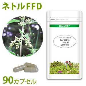 lg CNT FFD 90JvZ GRpbN I[KjbNn[uTvg ECLECTIC GNNeBbN mER[|[V Mtg v[g 蕨 a