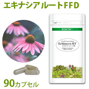 ECLECTIC/GNNeBbN GLiVA/GLiZA  FFD GRpbN 90cp Mtg v[g 蕨 a