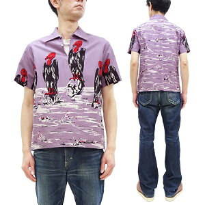 �X�^�[�E�I�u�E�n���E�b�h �����V���c SH39310 Star of Hollywood Condor �R���h�� �����Y �v���I�[�o�[�V���c 175 �p�[�v�� �V�i