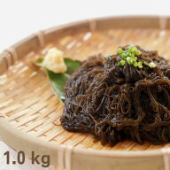 【2026年新もずく】石垣島産太もずく1.0kg 全国送料無料 長期保存可 もずくスープ もずくキムチもずく酢 …