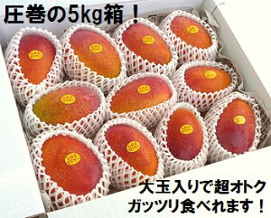 y2026N7{珇z󂠂EΊ_}S[ʓ5kgi7`12j 2025NAEΊ_Y SI ①֔