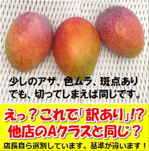 y2025N7{珇z󂠂EΊ_}S[1kgGRi2`4j 2025NAEΊ_Y SI ①֔