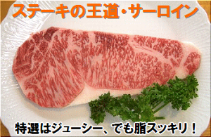 Ί_EIT[CXe[L@250g×2①orⓀցE ysmtb-MSz