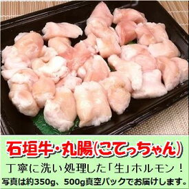 石垣牛・丸腸マルチョウ（小腸、こてっちゃん）500g入り真空パック「冷凍便」送料無料 【smtb-MS】